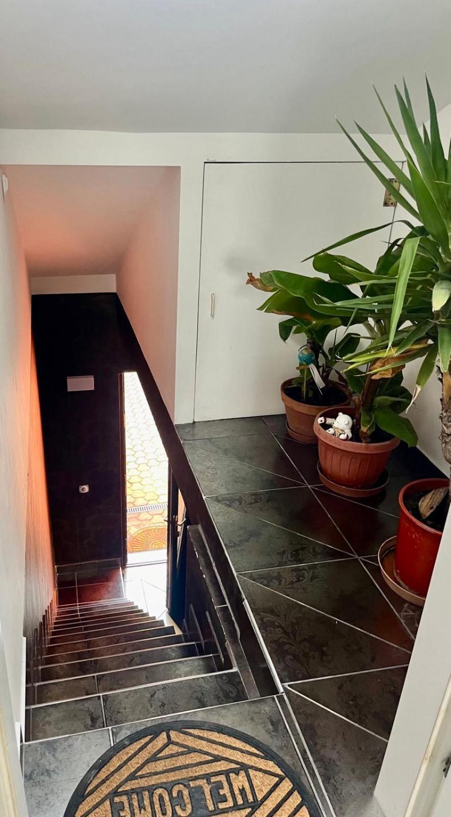 Chill Apartman Budakalász Exterior foto